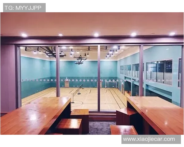 深圳羽毛球队的速度之美与技术探秘全面解析